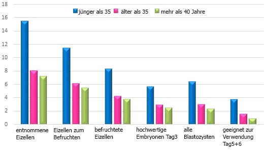 8 Befruchtung der Eizellen