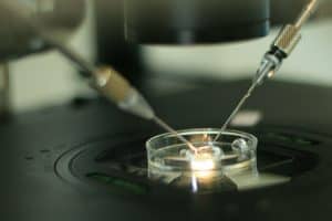 Embryologická a andrologická laboratoř