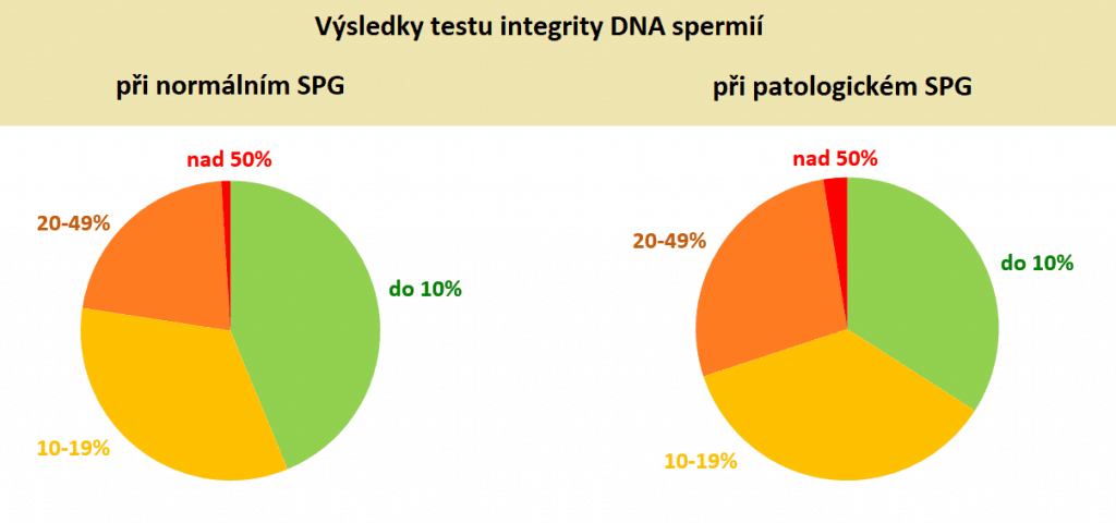 DNA-Fragmentierungstests der Spermien