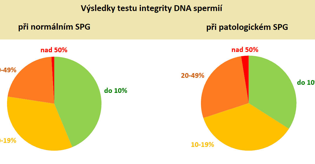 Warum ist es wichtig, die DNA-Integrität der Spermien zu untersuchen?