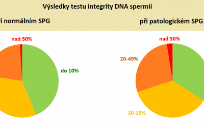 Warum ist es wichtig, die DNA-Integrität der Spermien zu untersuchen?
