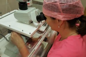 IVF Labor