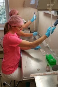 IVF Labor