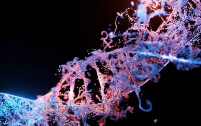 Nationale Konferenz zur DNA-Diagnostik